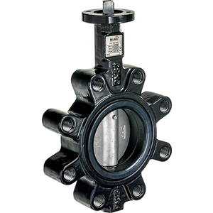Belimo 125mm Lugged Butterfly Valve 304 s/s disc