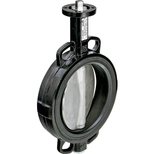 Belimo 250mm Wafer Butterfly Valve 304 s/s disc
