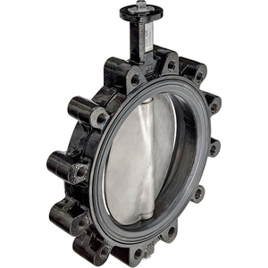 Belimo 250mm Lugged Butterfly Valve 304 s/s disc