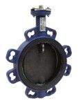 Schneider 200mm Butterfly Valve