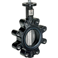 Belimo 80mm Lugged Butterfly Valve 304 s/s disc