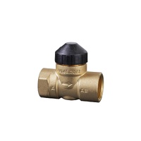 Siemens 2-Way 25mm 5 Kvs Seat Valve